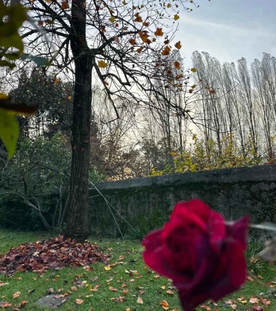 B&B Villa Gradenigo Lancenigo Italia
