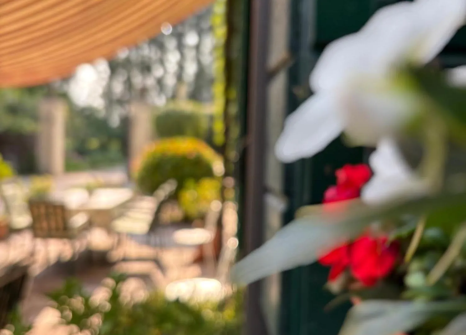 Bed & Breakfast B&B Villa Gradenigo Lancenigo